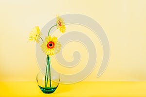 Bouquet of yellow daisy-gerbera flowers in a stylish glass vase on bright yellow background. Monochrome. Floral