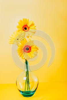 Bouquet of yellow daisy-gerbera flowers in a stylish glass vase on bright yellow background. Monochrome. Vertical Floral