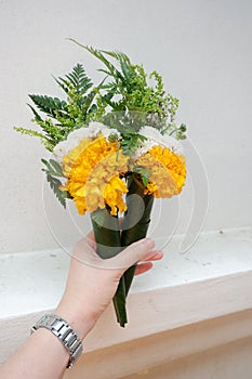 Bouquet of yellow flowers or marigolds in a hand.