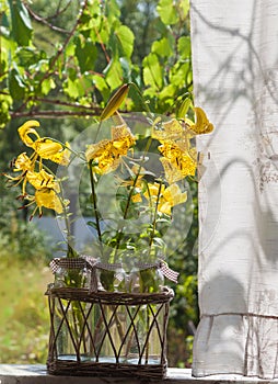 Bouquet of yellow lilies Citronella on the window