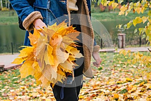 Bouquet of yellow maple leaves in the hand of a girl in an autumn park