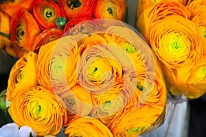 A bouquet of yellow peonies for sale