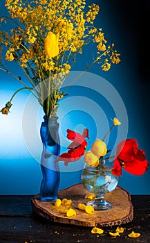 bouquet yellow and red tulips, sinapis,globeflower on a blue background