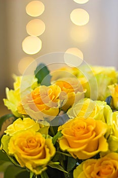 Bouquet of yellow roses. Beautiful yellow roses and bokeh lights
