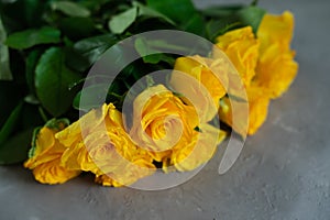 Bouquet of yellow roses on a gray background