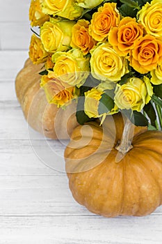 Bouquet of yellow roses and pumpkins on white wooden board. Beautiful yellow roses. Autumn