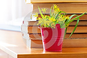 Bouquet of yellow spring flowers in a decorative bucket among the books in the library