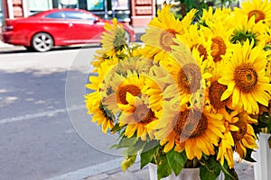 A bouquet of yellow sunflowers against the backdrop of a city street on a sunny day