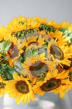 Bouquet of yellow sunflowers , flower in vase on old vintage table. Room morning. Gray background. Colors of autumn and