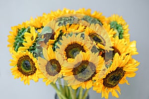 Bouquet of yellow sunflowers , flower in vase on old vintage table. Room morning. Gray background. Colors of autumn and