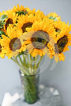 Bouquet of yellow sunflowers , flower in vase on old vintage table. Room morning. Gray background. Colors of autumn and