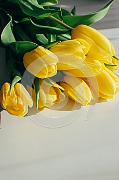 Bouquet of yellow tulip flowers on a white background with copyspace.