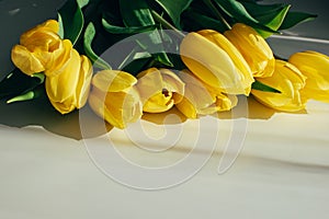 Bouquet of yellow tulip flowers on a white background with copyspace.