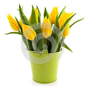 Bouquet yellow tulips