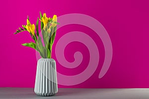 bouquet of yellow tulips in a vase on pink background, spring flowers for women, copy space