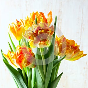 Bouquet of yellow tulips on a white wooden background.