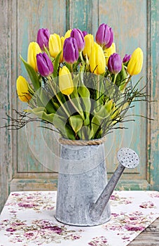 Bouquet of yellow and violet tulips in silver watering can