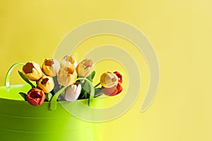 Bouquet of yellow, white and orange tulips in green garden basket on bright background