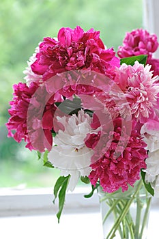Bouquete of colorful peonies