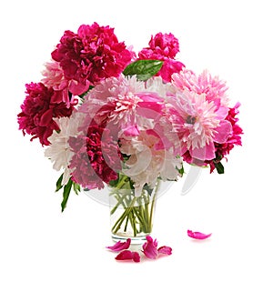 Bouquete of colorful peonies photo