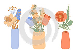 Bouquetes of blossom flowers in minimalistic ceramic vases Vector abstract mimosa, crocus, winterberry, tulip, narcissus, shirley photo