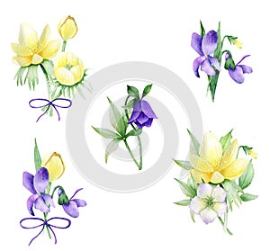 Bouquetof spring flower on white background