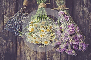 Bouquets of camomile, lavender and chicory