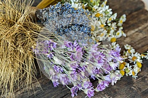 Bouquets of camomile, lavender, wheat and chicory.