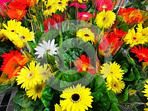 Bouquets of flowers in cellophane