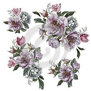 Bouquets of flowers. Flowers set of watercolor peonies, roses and tulips