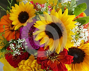 Bouquets of Flowers for Sale at a Farmers Market