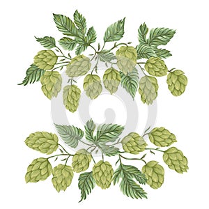 Bouquets with hops. Floral composition with hop cones, leaves and branches.