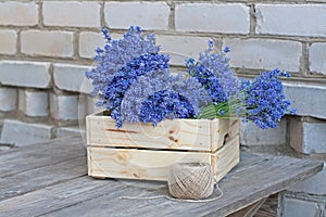 Bouquets of lavender in wooden box and a coil of rope