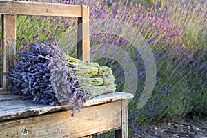 Bouquets on lavenders on a wooden old bench