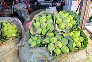 Bouquets of lotuses at the market, Thailand