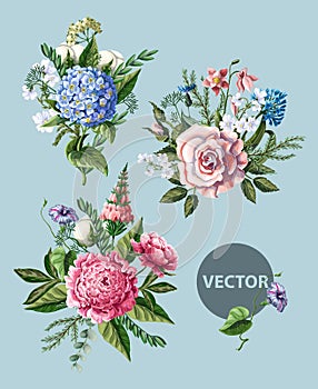 Bouquets with peony, rose and wild flowers. Vector illustration.