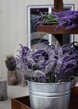Bouquets of Purple Lavender in Metal Bucket For Sale