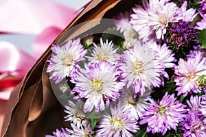 Bouquets of purple Michaelmas daisy flowers