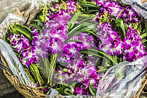 Bouquets of purple and white orchid flowers stacked on display a