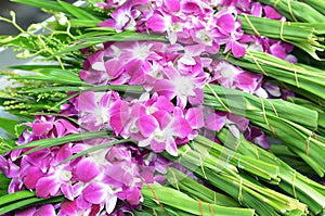 Bouquets of purple and white orchid flowers