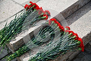 Bouquets of red carnations lie on the old granite steps of the memorial. Memory and patriotism. Close-up