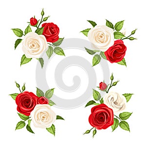 Bouquets of red and white roses. Vector set of four illustrations.