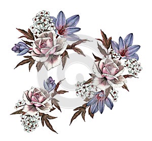 Bouquets of roses, crocuses and jasmine. Set of watercolor flowers photo