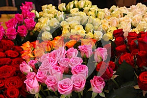 Bouquets of roses, different colors