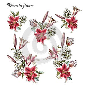 Bouquets of watercolor flowers. Set of watercolor apple blossom, tulips and lilies