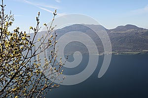 Bourget lake and mountains