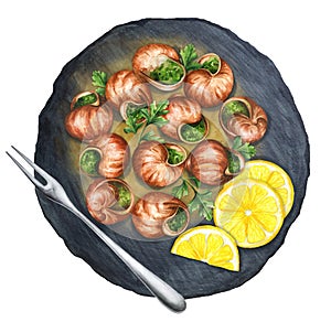 Bourgogne Escargot Snails on a black stone plate. Watercolor illustration