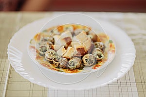 Bourgogne Escargot Snails with garlic, cheese with herbs butter in a creamy sauce with bread on white plate.