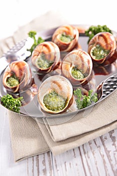 Bourgogne snail, french gastronomy