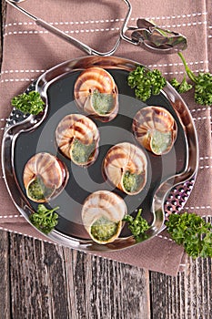 Bourgogne snail, french gastronomy